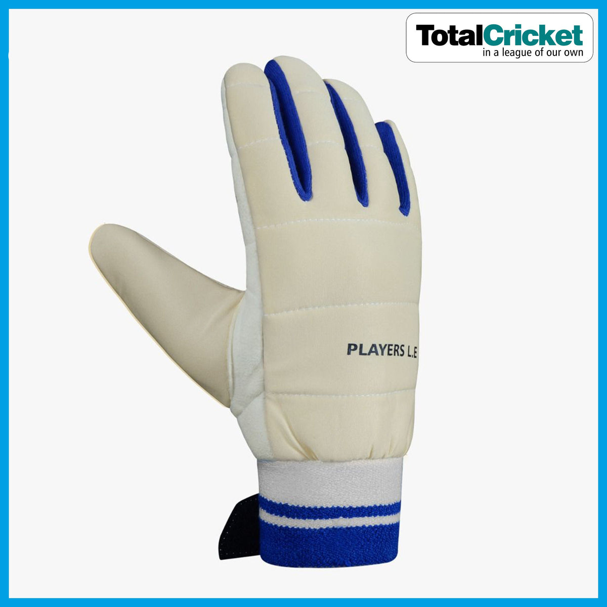 DSC 2024 PLAYERS L.E Wicket Keeping Inner Gloves TotalCricket