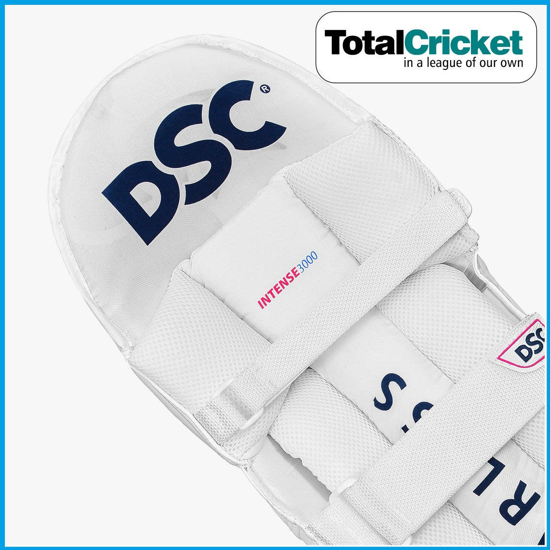 DSC 2024 INTENSE 3000 Batting Pads TotalCricket