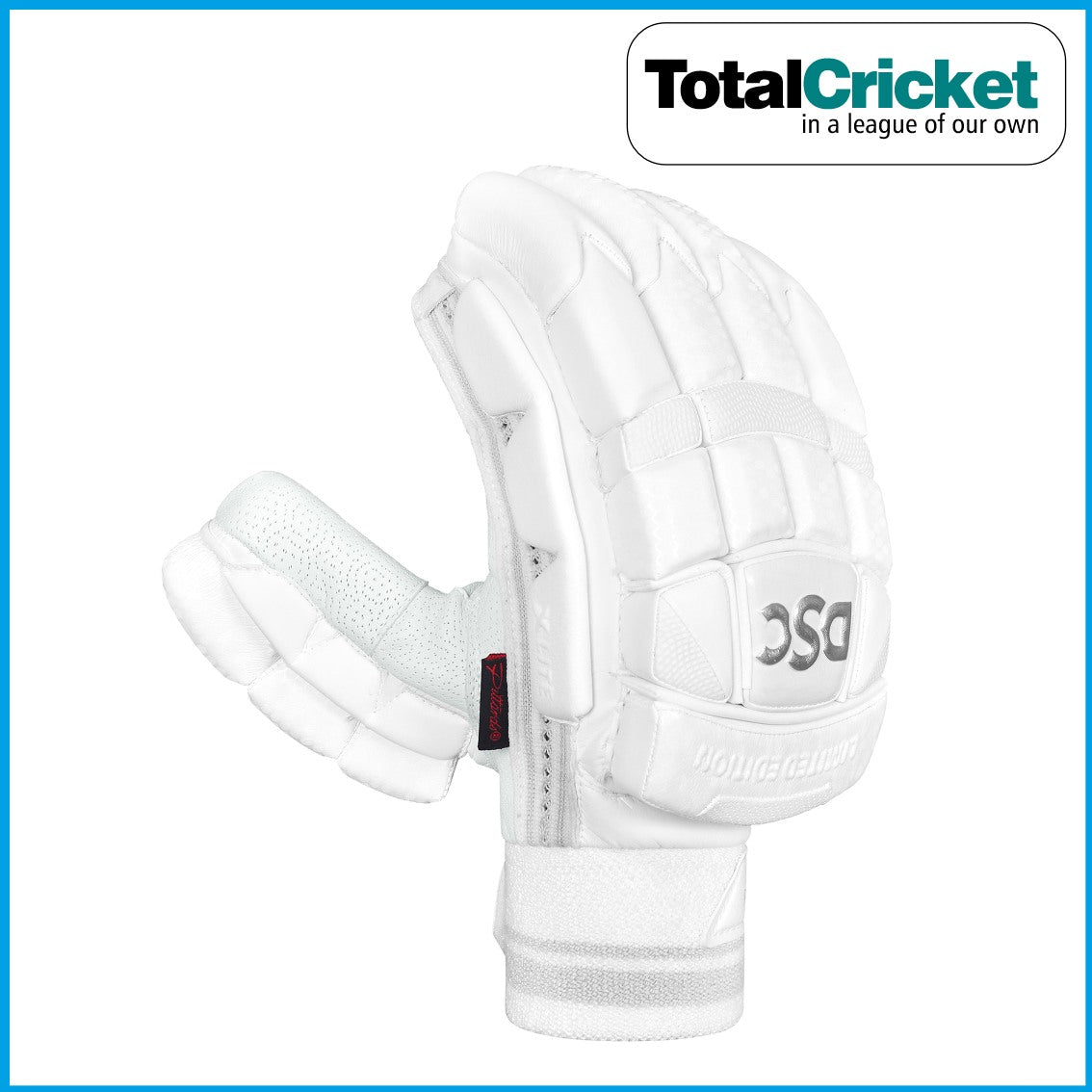 DSC 2024 X LITE LIMITED EDITION Batting Gloves TotalCricket