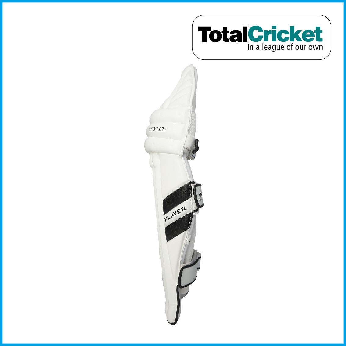 Gray Nicolls GN 250 Batting Pads Ambi - Wild Wicket Sports
