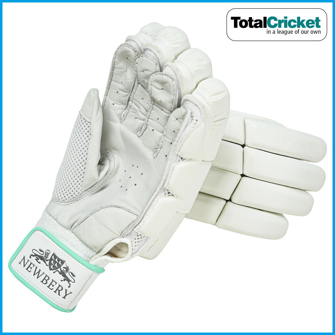 NEWBERY 2024 KUDOS JUNIOR BATTING GLOVES TotalCricket